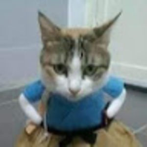 Meet your Posher, Justina